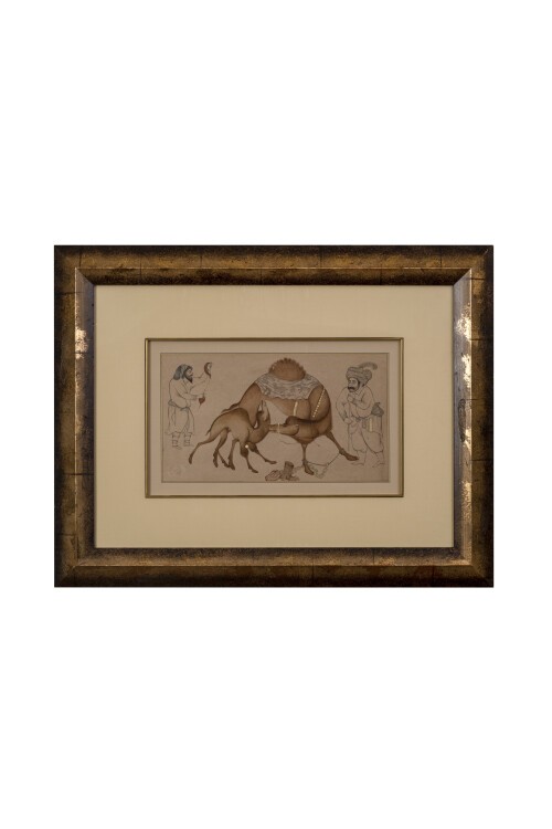 Deve Güreşi ve Yavru Deve Tablosu