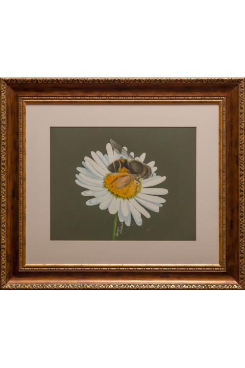 Papatyaya Konmuş Arı Tablosu