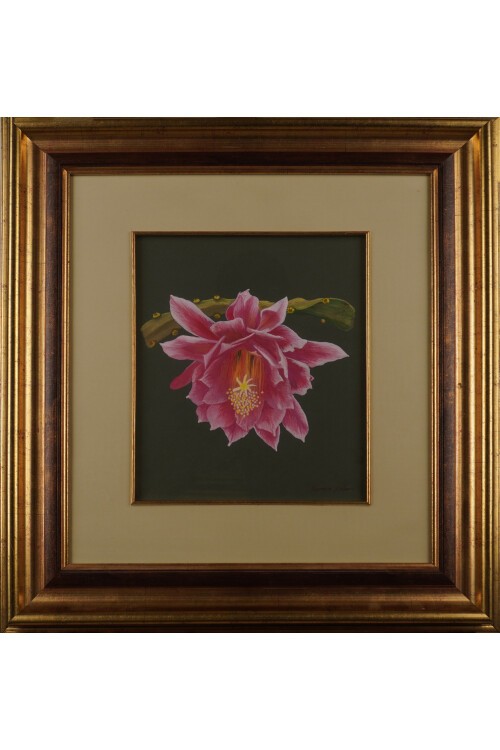 Pembe Lotus Çiçeği Tablosu