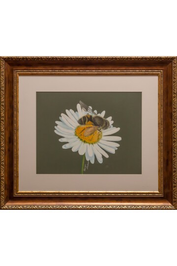 Papatyaya Konmuş Arı Tablosu