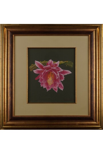 Pembe Lotus Çiçeği Tablosu