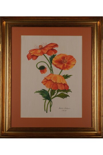 Yandan Çarklı Gelincik Tablosu