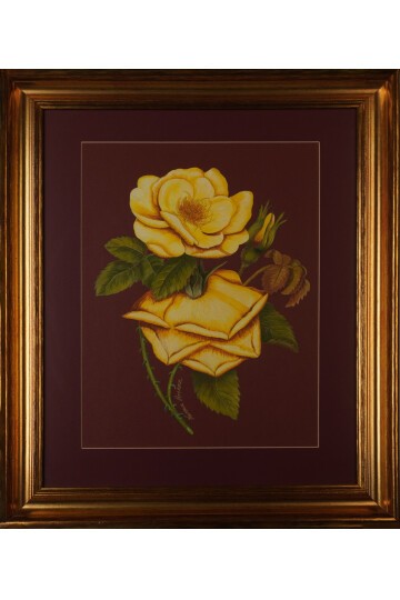 Yeşil Yapraklı Sarı Gül  Tablosu